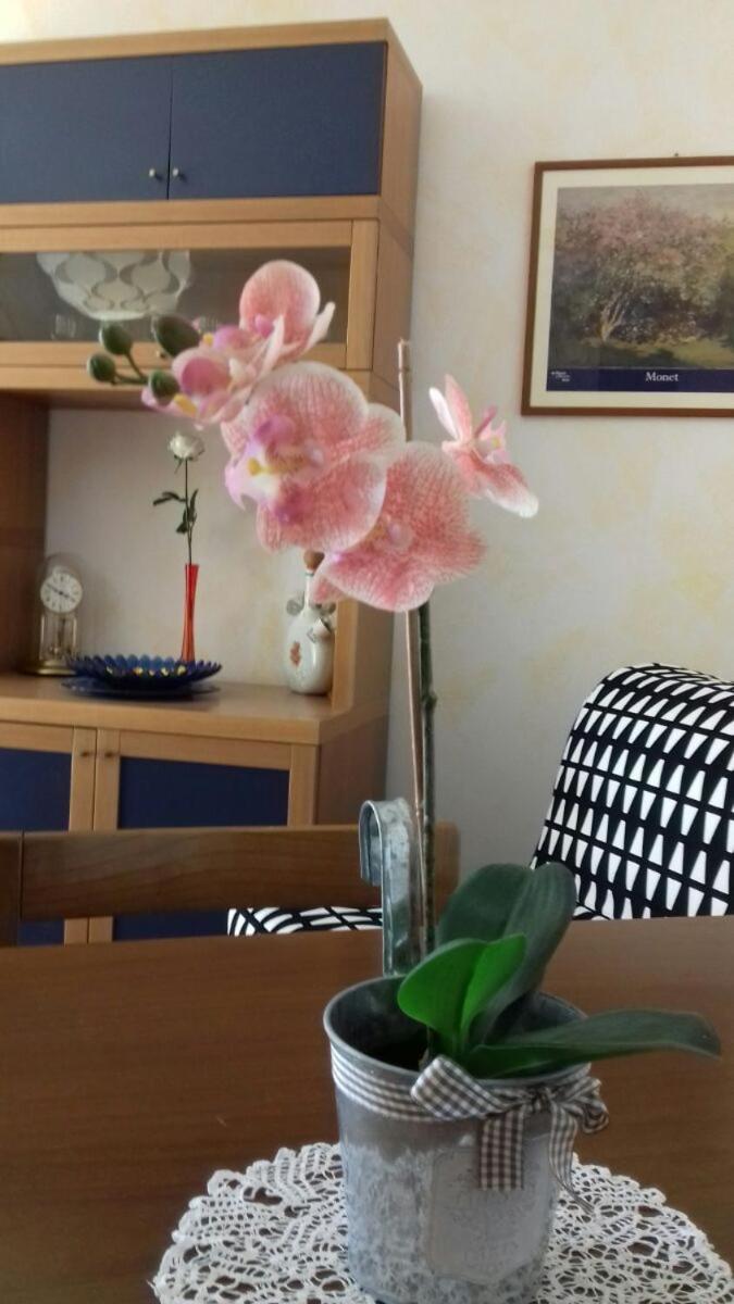 Villa Ramella Baveno Extérieur photo